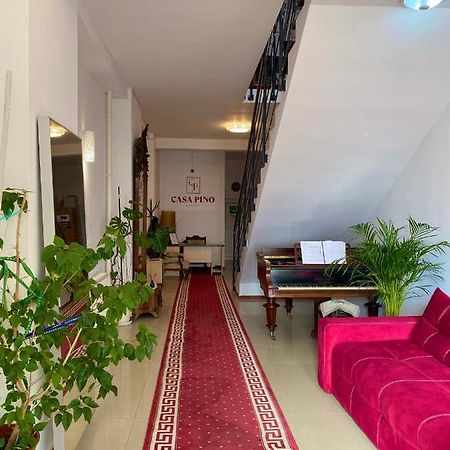 Hotel Casa Pino Brašov Exteriér fotografie